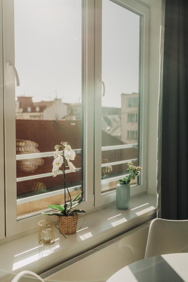 פלזן New Equipped Apartment In The City Center מראה חיצוני תמונה